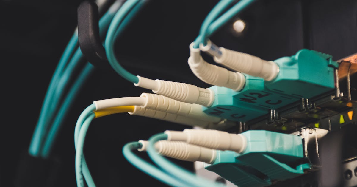 découvrez tout ce qu’il faut savoir sur les plugs anaux : usages, conseils d’utilisation, sécurité et choix adaptés pour les débutants et expérimentés. profitez d’une expérience intime en toute confiance.